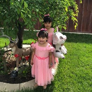 Meet your Posher, Rosa